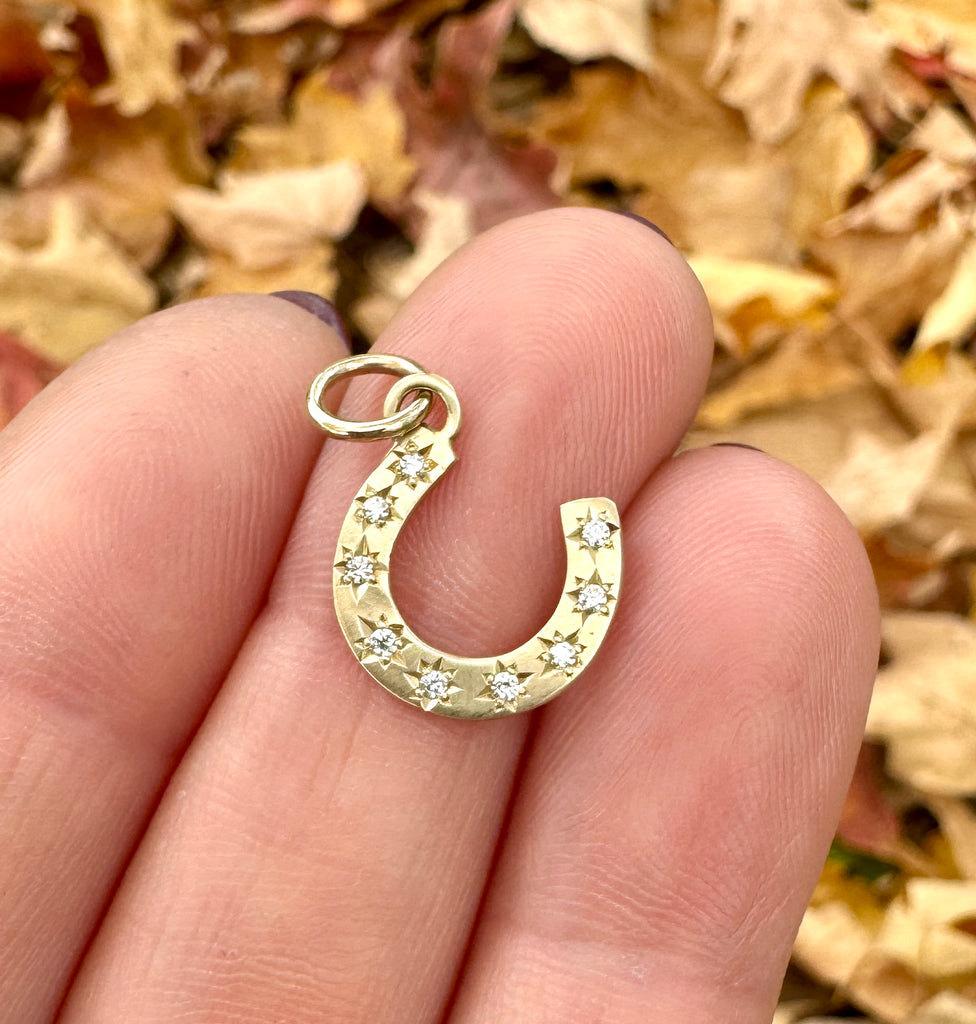 14k Diamond Starburst Horseshoe