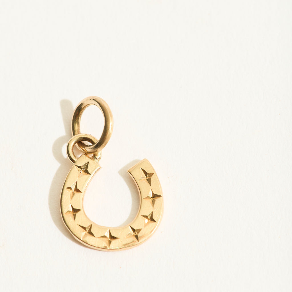 Star Engraved Horseshoe