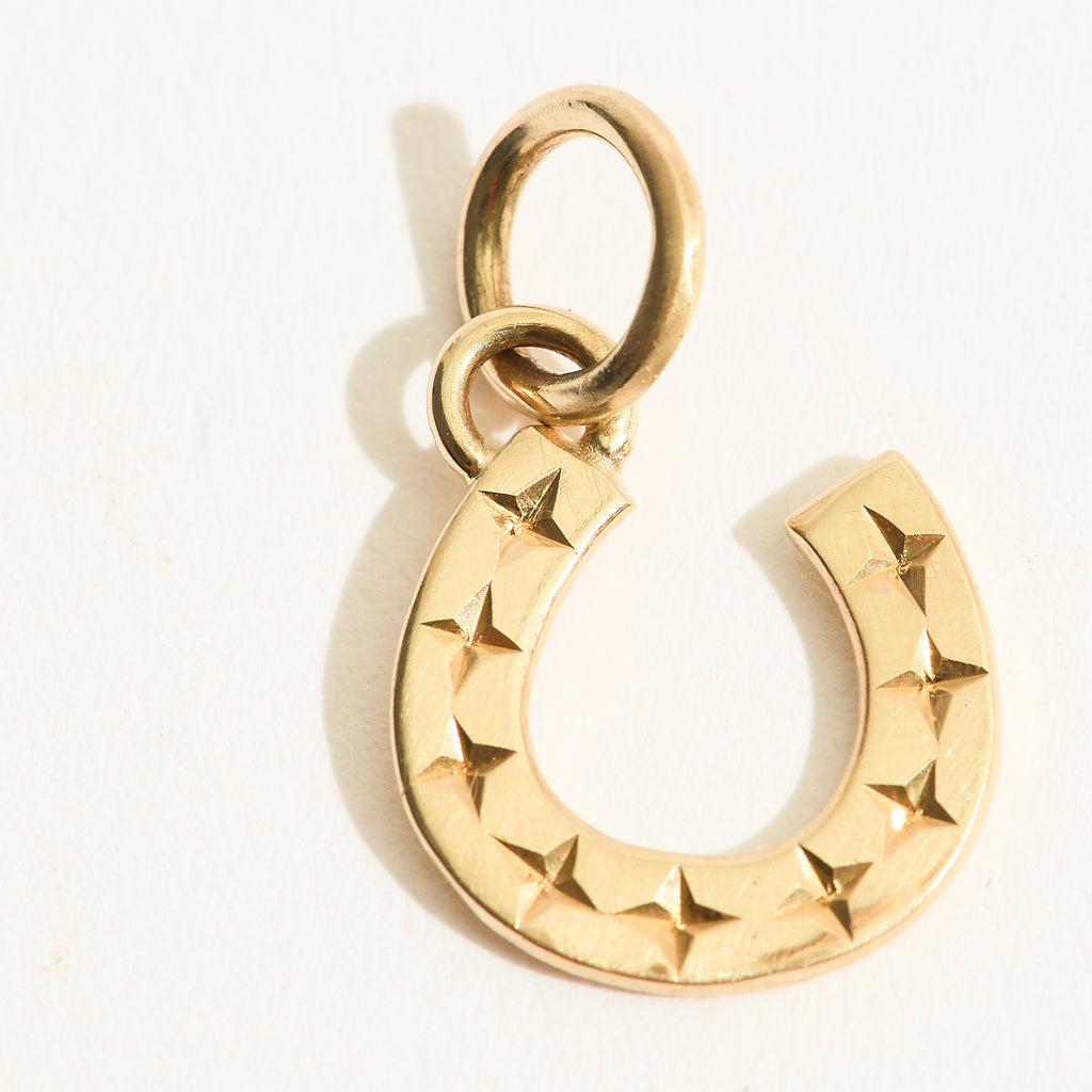 Star Engraved Horseshoe