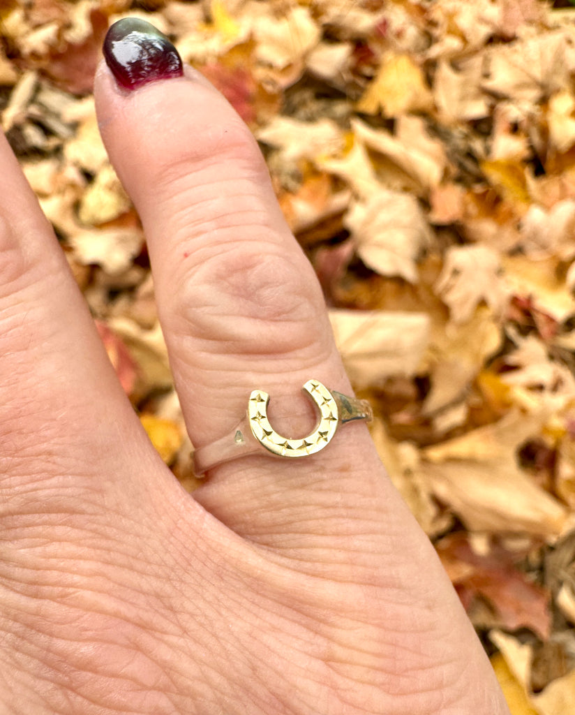 Mini Star Horseshoe Ring